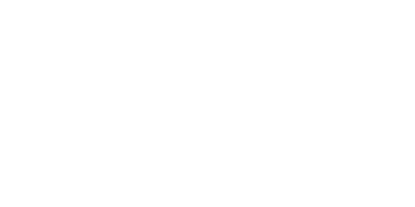 HTML CSS JavaScript