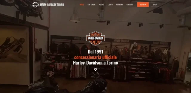 Harley-Davidson Torino